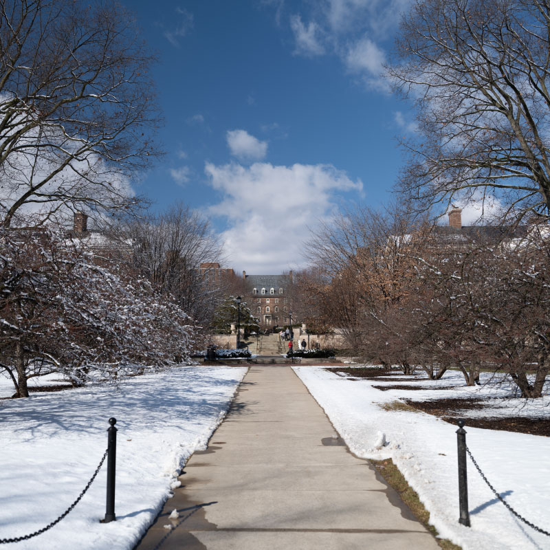 A winter view of the West Residence Halls area at Penn State