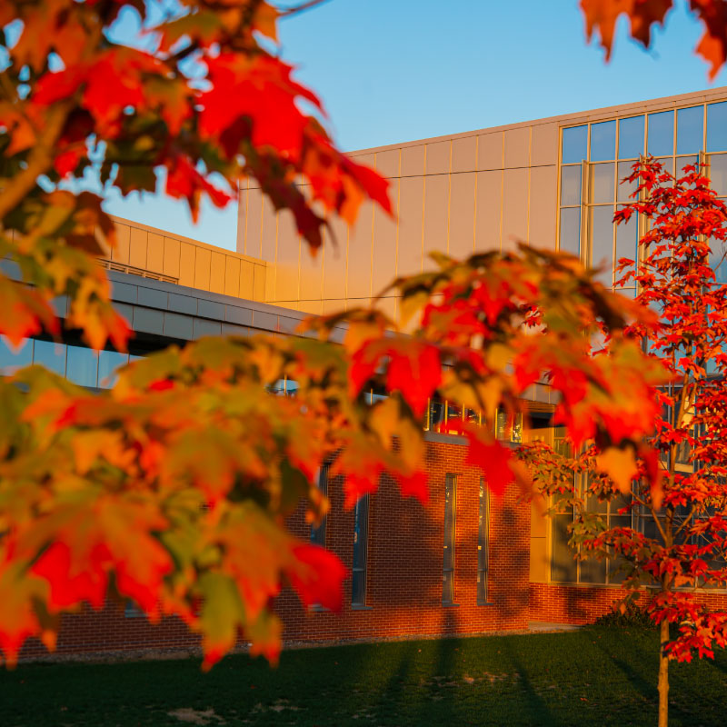 Exterior photo of red leaves and buildings on the Penn State campus