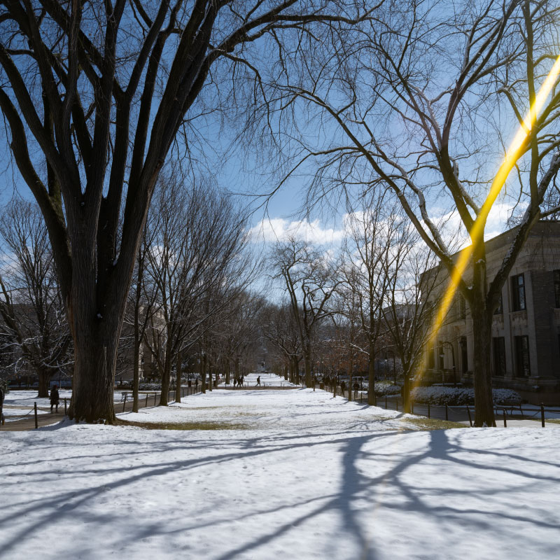 A winter view of the Pattee Mall lawn at Penn State covered in snow