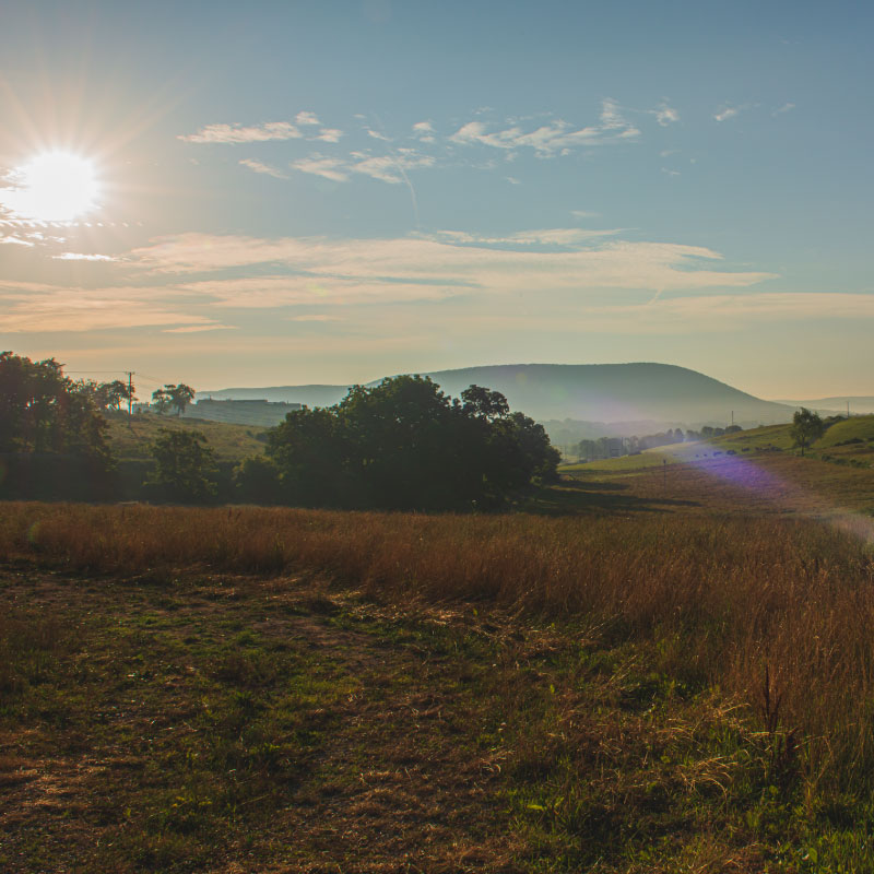 A photo of agricultural fields at Penn State with Mount Nittany in the background
