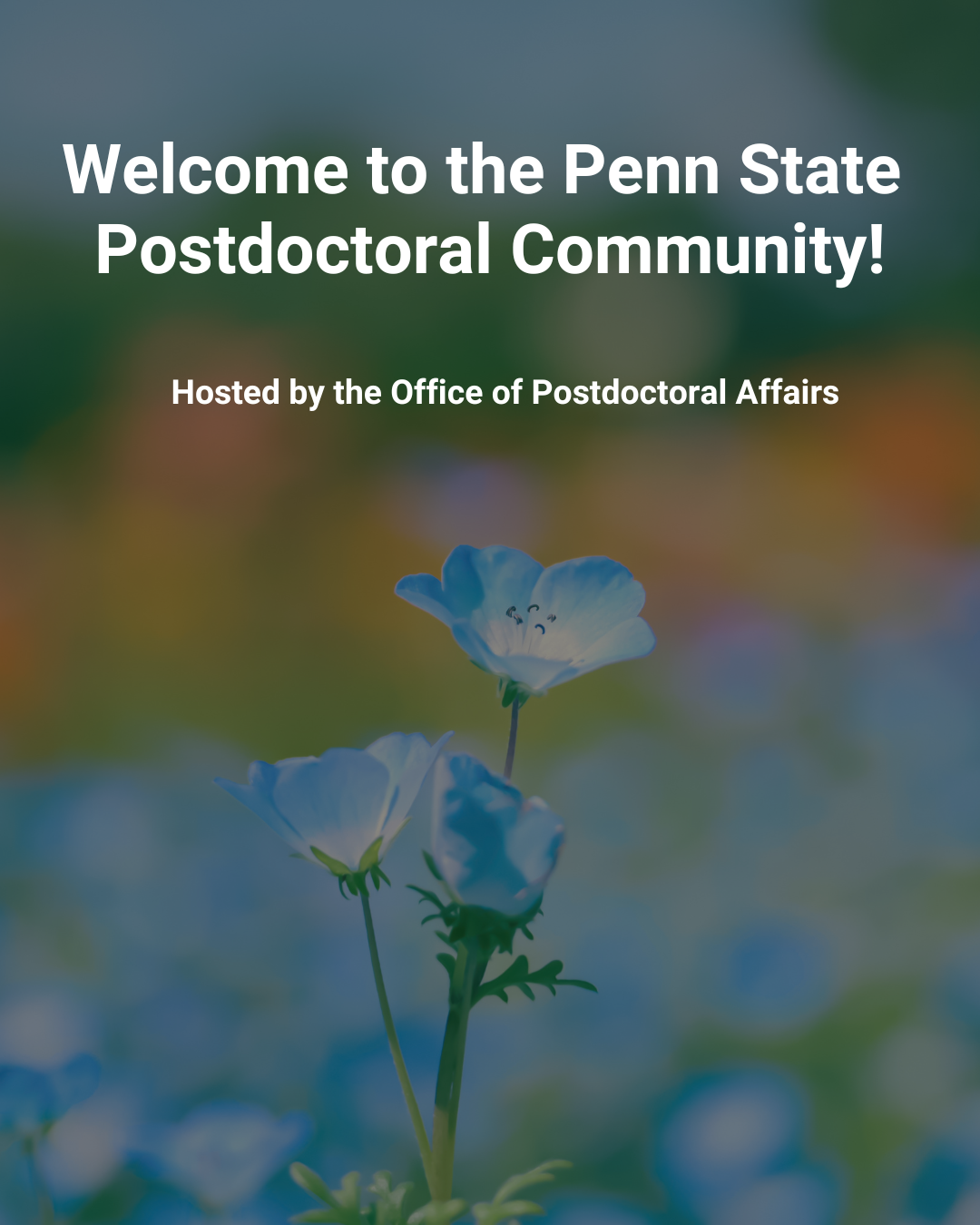 Welcome to the Penn State Postdoctoral Community! Hosted by the Office of Postdoctoral Affairs. Decorative image.